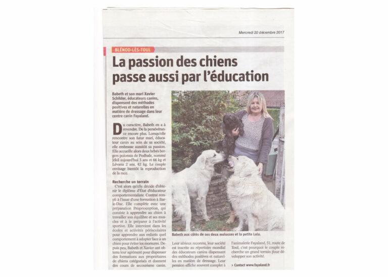 Humanimaux Meditation Formation Canine Nancy La Passion Des Chiens Passe Aussi Par Leducation