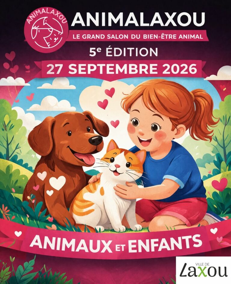 Humanimaux Mediation Formation Canine Nancy 690650362 122198153030455517 5800258644963955626 N